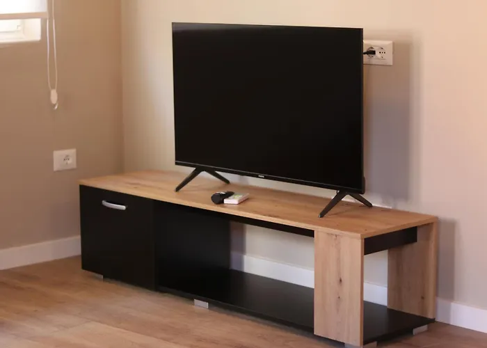 Проживание в семье Jera 2 Тирана